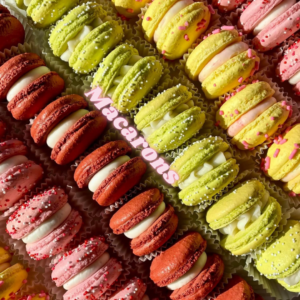 Macaron 6-pack