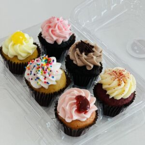 6 Mini Cupcakes